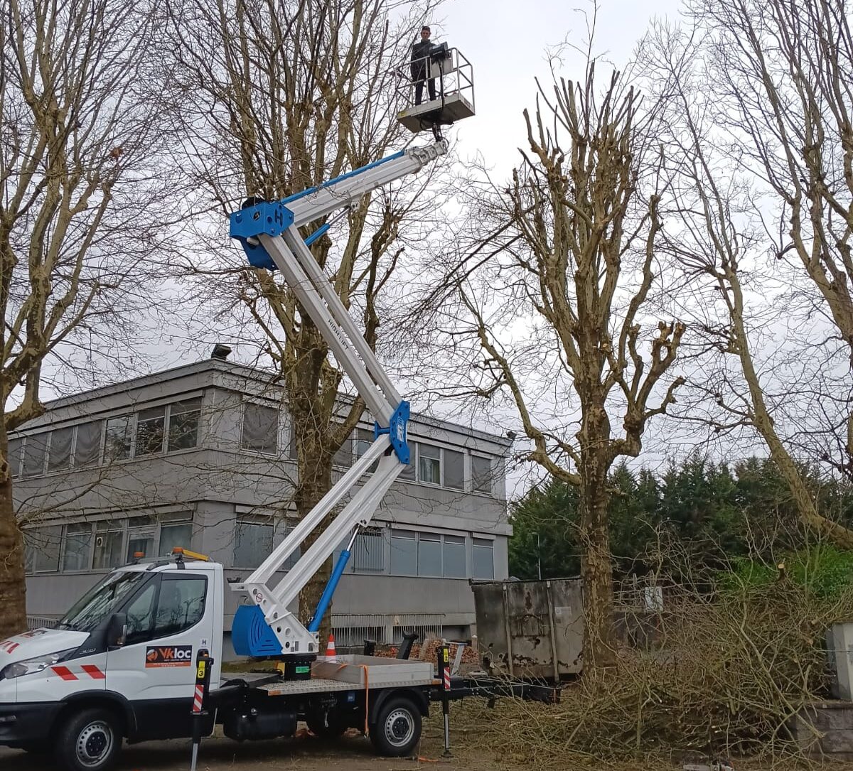 elage abattage d'arbres